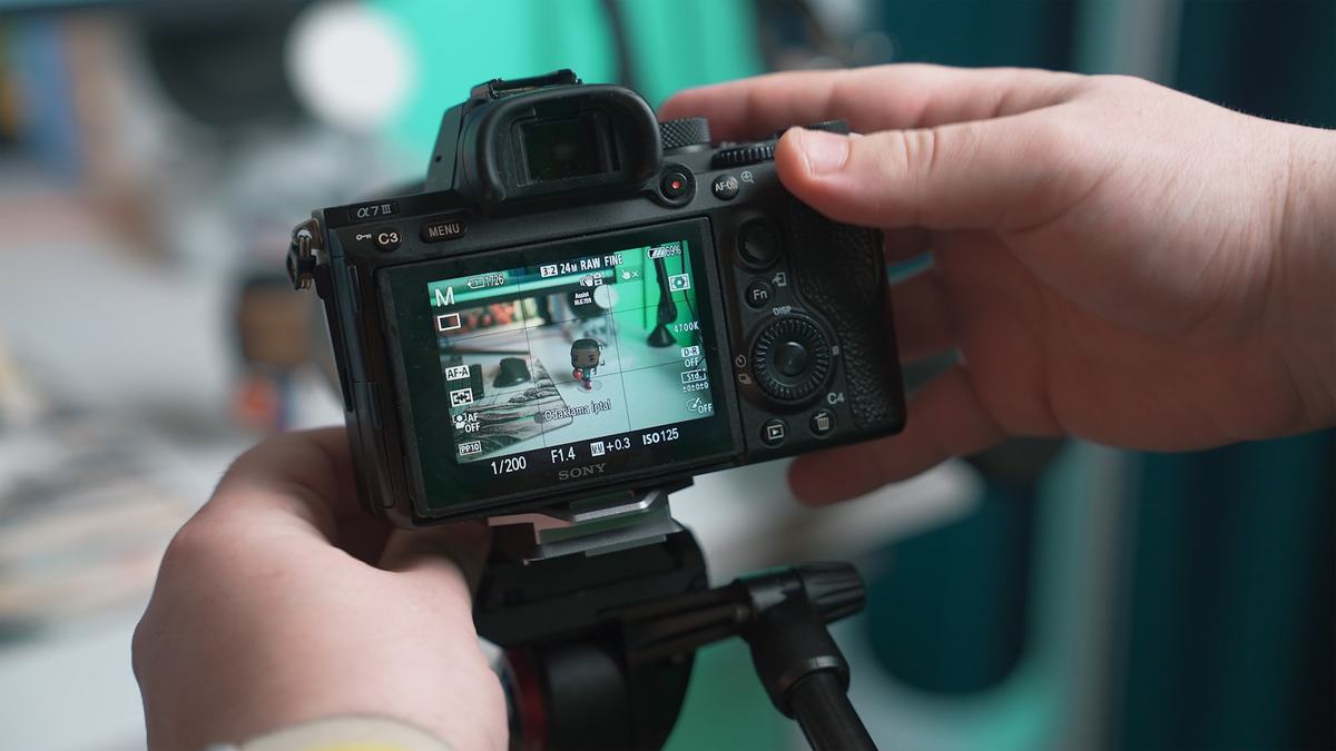 A photographer raising a camera to take a picture